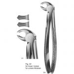 Extracting Forcep English Pattern