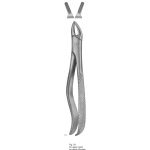 Extracting Forcep English Pattern