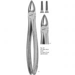 Extracting Forcep English Pattern